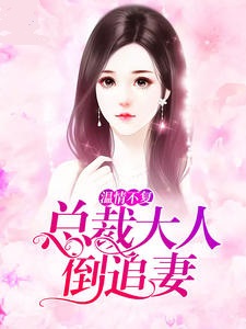 温情不复：总裁大人倒追妻